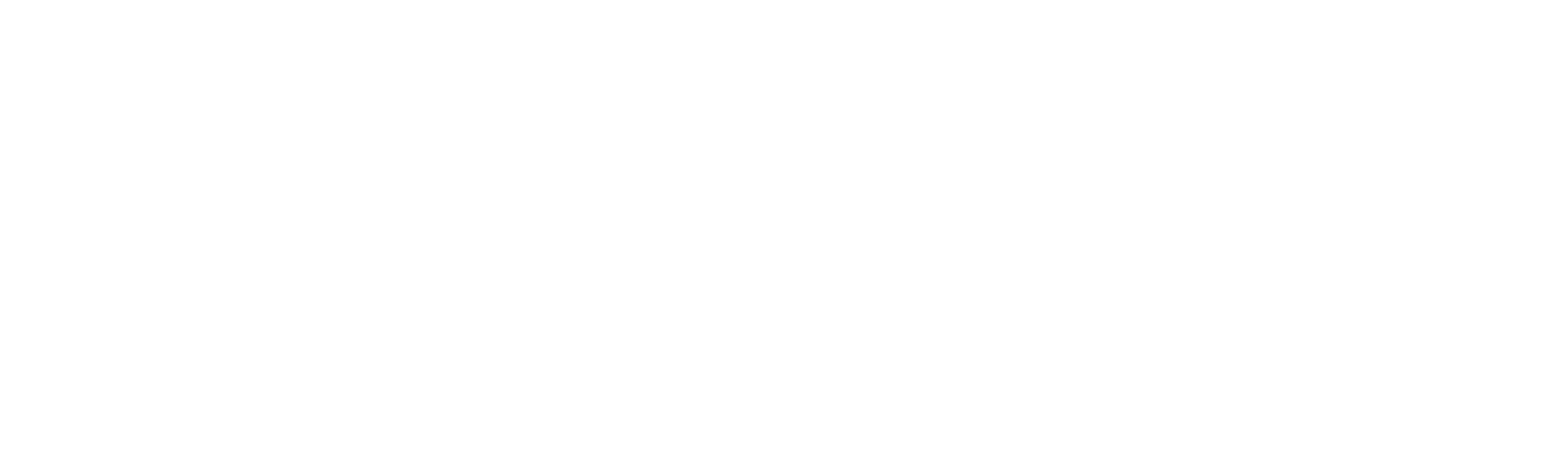 Sansum Solutions Logo